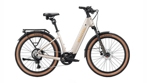 Velotric Discover M