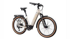 Velotric Discover M